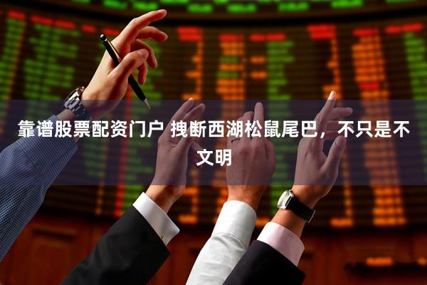 靠谱股票配资门户 拽断西湖松鼠尾巴，不只是不文明